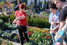 Targi Ogrodnictwa na Andersa