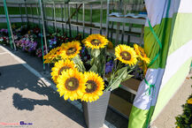 Targi Ogrodnictwa na Andersa