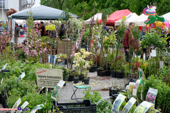 Jarmark "Kresowy Ogród"