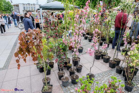 Jarmark "Kresowy Ogród"