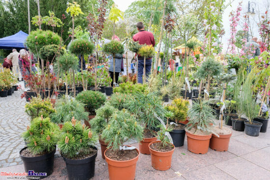 Jarmark "Kresowy Ogród"