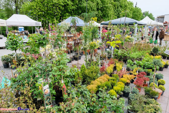 Jarmark "Kresowy Ogród"