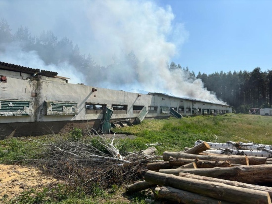 Pożar w Narwi