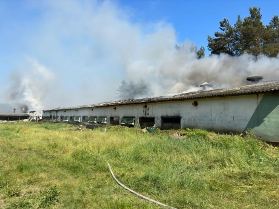 Pożar w Narwi