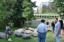 Macewy w Parku Centralnym