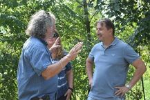 Macewy w Parku Centralnym