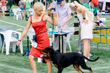 Wystawa Psów w Białymstoku