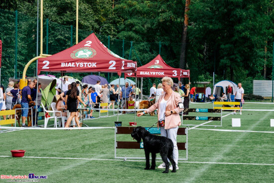Wystawa Psów Rasowych w Białymstoku