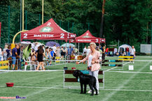 Wystawa Psów w Białymstoku