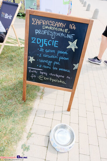 Wystawa Psów Rasowych w Białymstoku