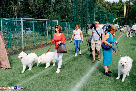 Wystawa Psów Rasowych w Białymstoku