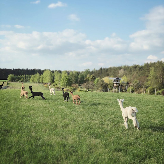 Najbardziej klimatyczne noclegi na Podlasiu!