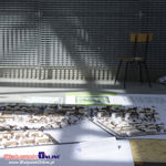 Prezentacja prac studentów architektury