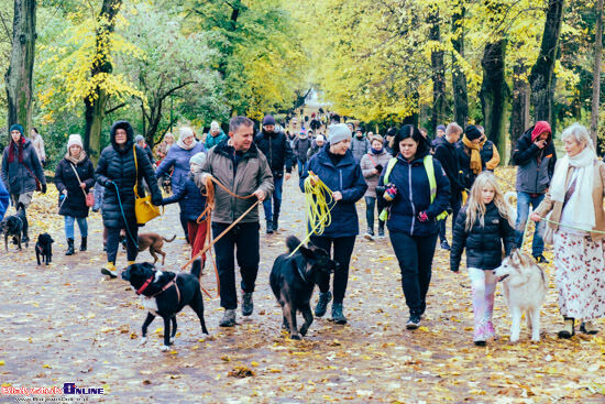 2023.10.29 - Parada Adopciaków