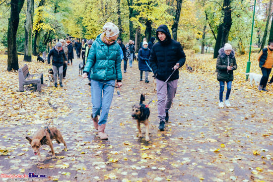 2023.10.29 - Parada Adopciaków