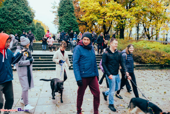 2023.10.29 - Parada Adopciaków