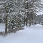 Arboretum w Kopnej Górze 