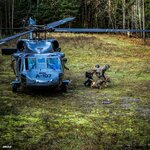 2023.11.14 - Warsztaty psów bojowych 