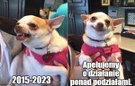 2023.11.14 - Inauguracja X kadencji Sejmu na wesoło 