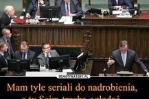 Memy z zakończenia I posiedzenia Sejmu