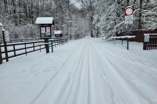 Sporty zimowe w Podlaskiem