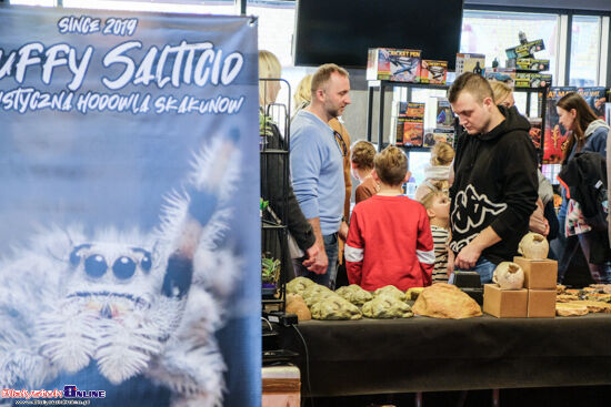 2024.02.25 Event terrarystyczny w Białymstoku