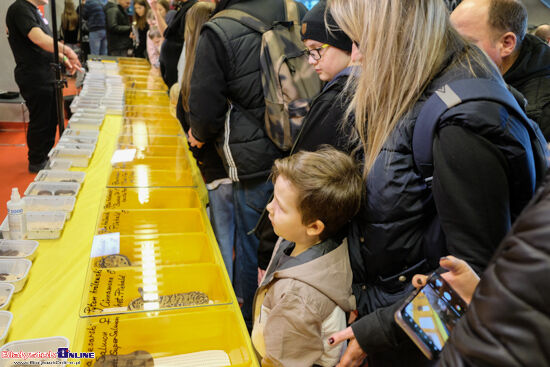 2024.02.25 Event terrarystyczny w Białymstoku