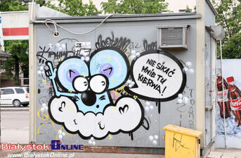 Dni Sztuki Współczesnej 2009: East Side Street Art (ESSA)