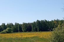 Zalew Siemianówka