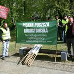 Protest branży drzewnej w Białymstoku 