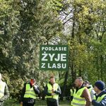 Protest branży drzewnej w Białymstoku 