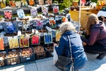 2024.04.27 - Jarmark ogrodniczy 