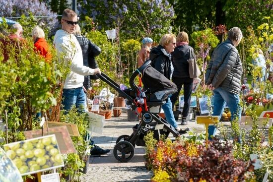 2024.04.27 - Jarmark ogrodniczy "Kresowy Ogód"