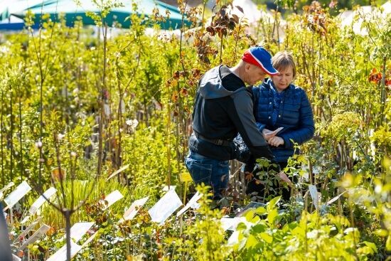 2024.04.27 - Jarmark ogrodniczy "Kresowy Ogód"