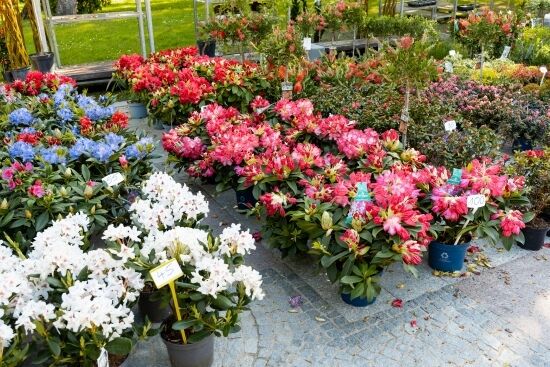 2024.04.27 - Jarmark ogrodniczy "Kresowy Ogód"