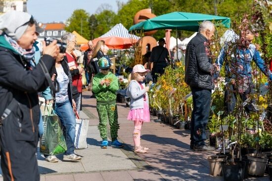 2024.04.27 - Jarmark ogrodniczy "Kresowy Ogód"