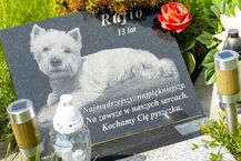 Cmentarz małych zwierząt w Rzędzianach