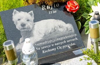Cmentarz małych zwierząt w Rzędzianach