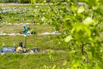 2024.04.27 - Cmentarz małych zwierząt w Rzędzianach