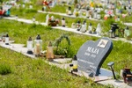 2024.04.27 - Cmentarz małych zwierząt w Rzędzianach