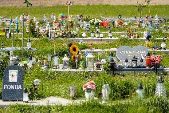 2024.04.27 - Cmentarz małych zwierząt w Rzędzianach