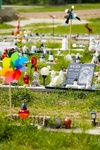 2024.04.27 - Cmentarz małych zwierząt w Rzędzianach