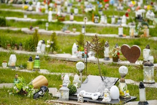 2024.04.27 - Cmentarz małych zwierząt w Rzędzianach