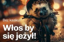 Podlaskie zwierzaki noszą kask 