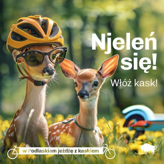 Podlaskie zwierzaki noszą kask 