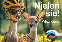 Podlaskie zwierzaki noszą kask 