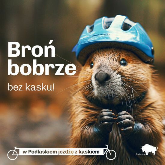 Podlaskie zwierzaki noszą kask 