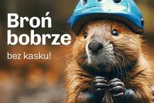 Podlaskie zwierzaki noszą kask 