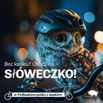 Podlaskie zwierzaki noszą kask 