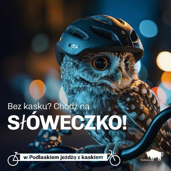 Podlaskie zwierzaki noszą kask 